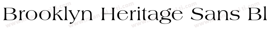 Brooklyn Heritage Sans Black字体转换